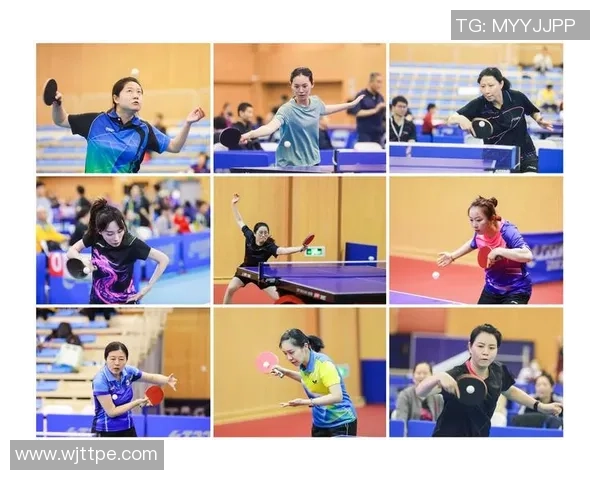 上海乒乓球队的节奏揭秘与深度分析乒乓球运动的魅力与发展